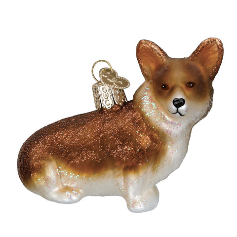 Pembroke Welsh Corgi-1
