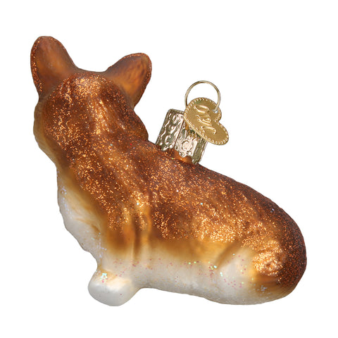 Pembroke Welsh Corgi-2