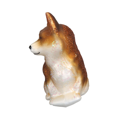 Pembroke Welsh Corgi-3