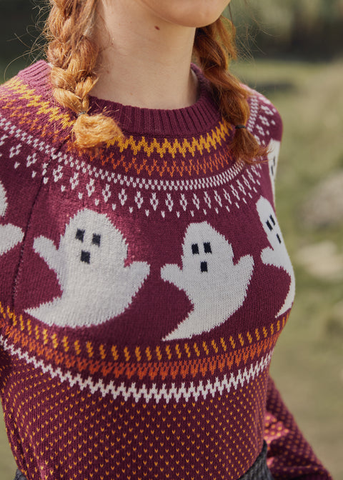 Pull Fair Isle « Tu as été ghosté(e) »-1