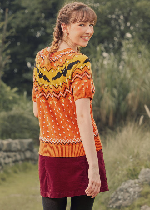 Pull à manches courtes jacquard « C'est comme une chauve-souris »-2