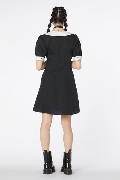 Robe brodée pour chiot-1